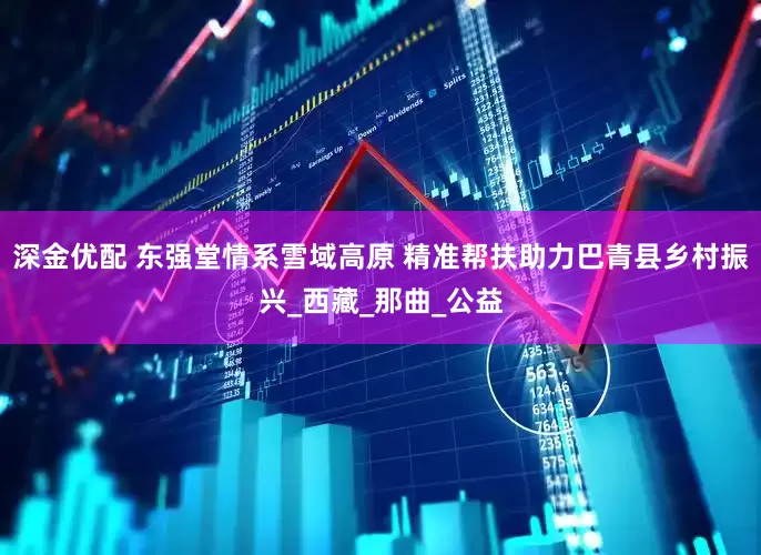 深金优配 东强堂情系雪域高原 精准帮扶助力巴青县乡村振兴_西藏_那曲_公益