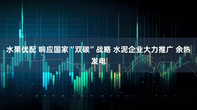 水果优配 响应国家“双碳”战略 水泥企业大力推广 余热发电
