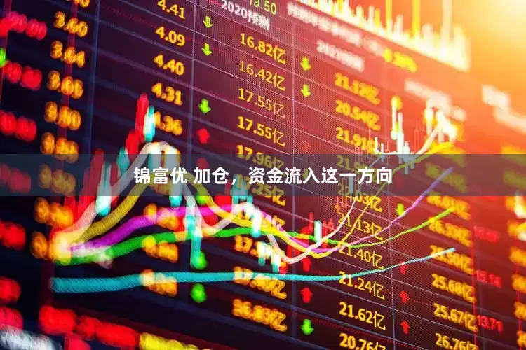 锦富优 加仓，资金流入这一方向